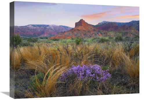 Global Gallery GCS-396004-1824-142 18 x 24 in. Caprock Canyons State P