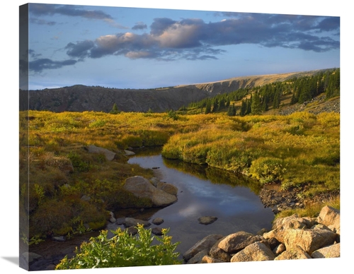 Global Gallery GCS-396796-30-142 30 in. Black Hills Landscape Showing 