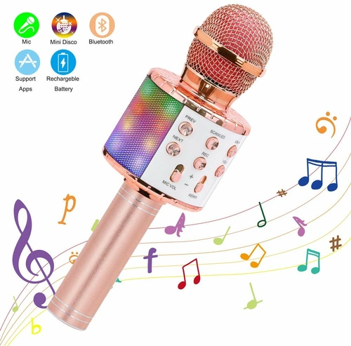 Wireless Karaoke Microphone Bluetooth Speaker