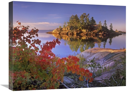 Global Gallery GCS-396786-1824-142 18 x 24 in. Island in Georgian Bay&