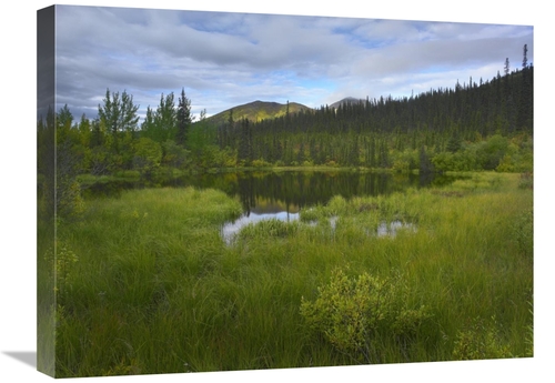 Global Gallery GCS-397181-1824-142 18 x 24 in. Boreal Forest with Pond