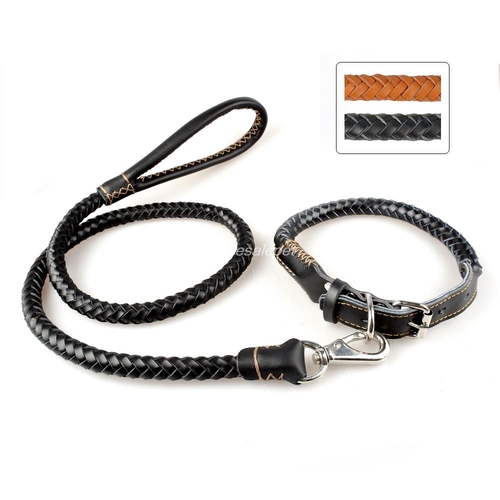 Rolled Leather Braided Dog Collar and Walking