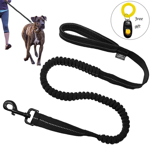 Reflective Stitching Bungee Dog Leash Elastic Dog