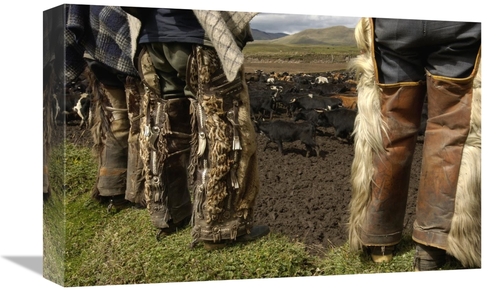 Global Gallery GCS-453135-1218-142 12 x 18 in. Ocelot Fur & Goat Hair 