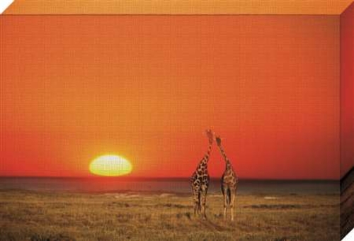 North American Art NC1061 24 x 36 in. An Evening Walk Framed Landscape