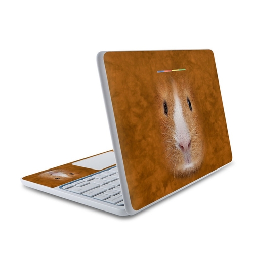 DecalGirl HC11-GPIG HP Chromebook 11 Skin - Guinea Pig