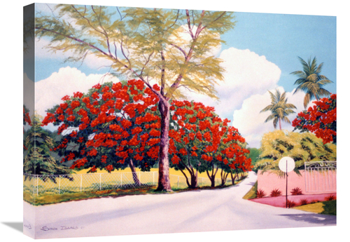 Global Gallery GCS-480440-1824-142 18 x 24 in. Poncianna Drive Art Pri