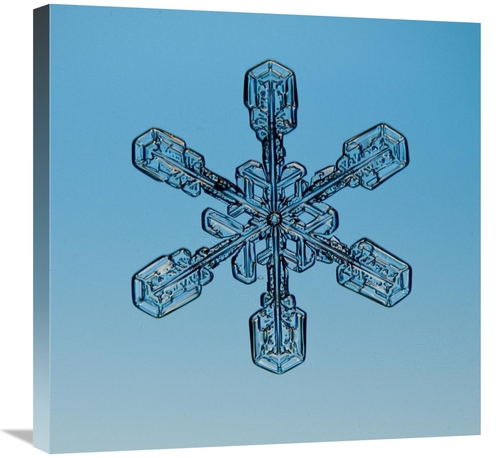 Global Gallery GCS-397280-2424-142 24 x 24 in. Snowflake Seen Through 