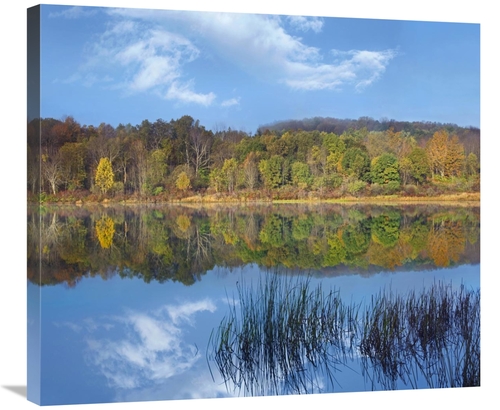 Global Gallery GCS-396958-30-142 30 in. Deciduous Forest Along Lackawa