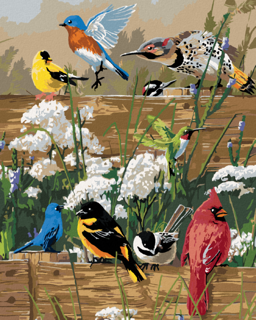 Zuty - Paint by Numbers â€“ SONGBIRDS ON A WOODEN FENCE (JAMES