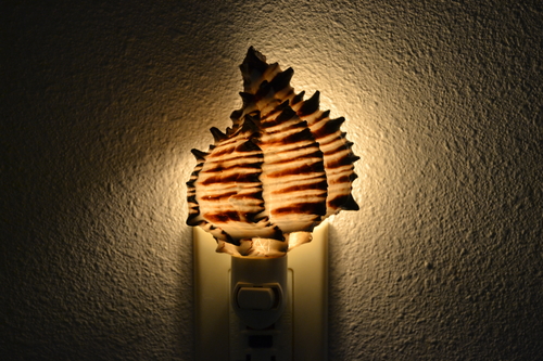 Black Murex Seahell Shell Nightlight