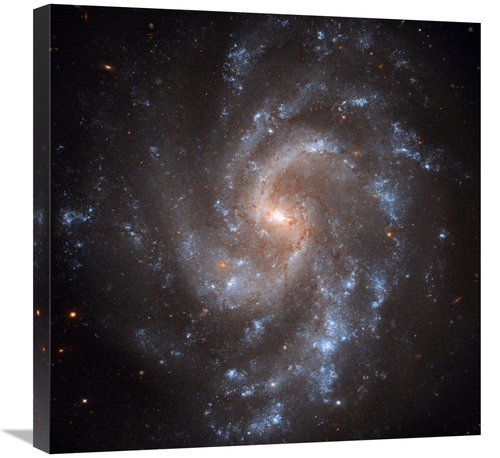 Global Gallery GCS-393597-2424-142 24 x 24 in. NGC 5584 Art Print - NA