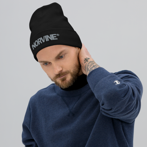 Basic Beanie