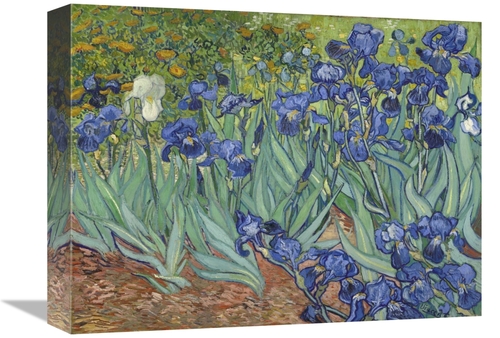 Global Gallery GCS-281275-16-142 16 in. Irises, 1889 Art Print - V