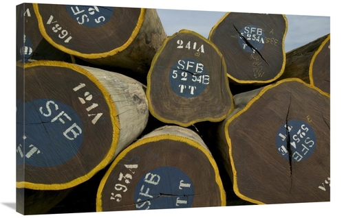 Global Gallery GCS-398076-2436-142 24 x 36 in. Legal Lumber From Congo