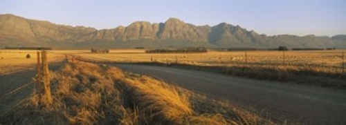 Panoramic Images PPI74017L Road running through a farm  South Africa P