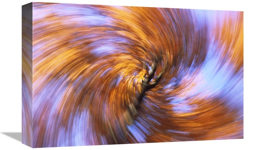 Global Gallery GCS-398488-1218-142 12 x 18 in. European Beech Abstract