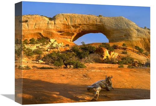 Global Gallery GCS-397187-1216-142 12 x 16 in. Wilson Arch with A Span