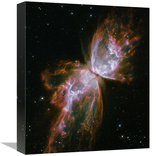 Global Gallery GCS-393589-16-142 16 in. Butterfly Nebula Art Print - N