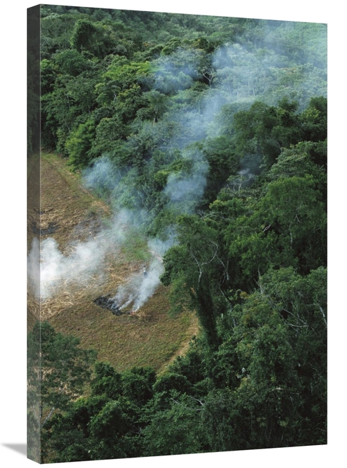 20 x 30 in. A Farmer Burns His Agricultural Field After Harvesting the