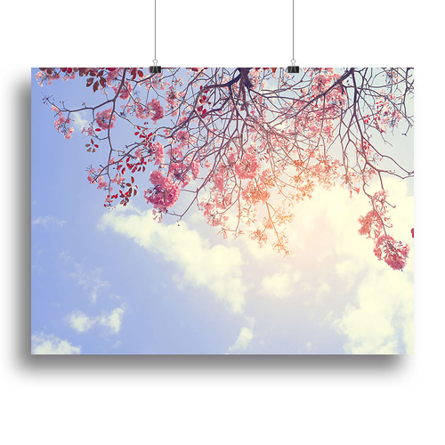Beautiful tree pink flower in spring Canvas Print or Poster
