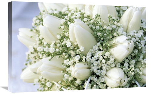 Global Gallery GCS-398274-2030-142 20 x 30 in. Bouquet of White Tulips