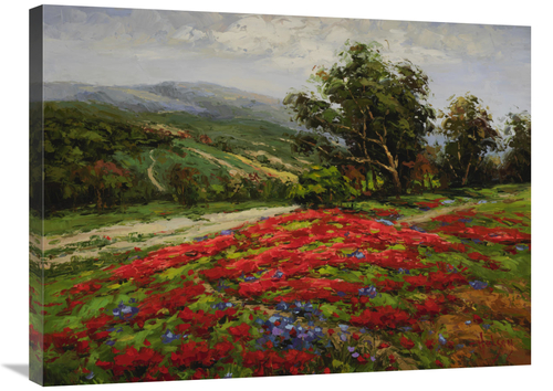 Global Gallery GCS-132576-2432-142 24 x 32 in. Meadow of Wildflower Ar