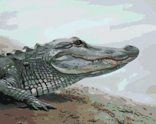 Zuty - Paint by Numbers - ALLIGATOR BY THE WATER (D. RUSTY RUST),