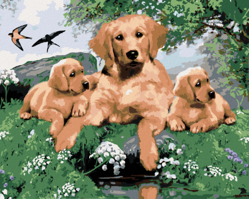 Paint by Numbers - GOLDEN RETRIEVER AND PUPPIES (HOWARD ROBINSON)