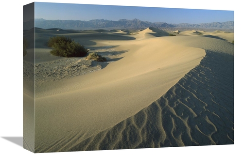 Global Gallery GCS-396651-1216-142 12 x 16 in. Mesquite Flat Sand Dune