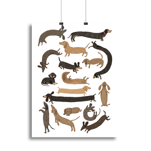Dachshund Print Canvas Print or Poster
