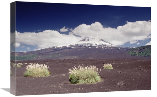 Global Gallery GCS-453013-1624-142 16 x 24 in. Pampas Grass Islands in