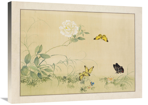 Global Gallery GCS-110335-2432-142 24 x 32 in. White Rose & Butterflie