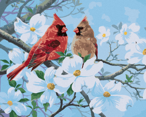 Paint by Numbers - CARDINAL BIRD IN SPRING (ABRAHAM HUNTER)