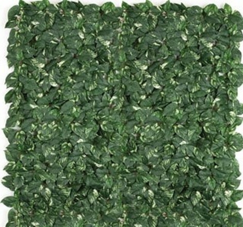 Autograph Foliages PR-145990 4 x 4 ft. Fire Pothos Grid, Green