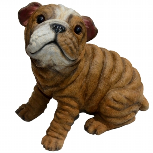 Michael Carr Designs MCD80106 Bully-Bulldog Puppy, Medium