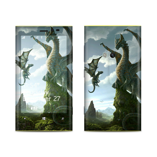 DecalGirl NL92-FLESSON Nokia Lumia 920 Skin - First Lesson