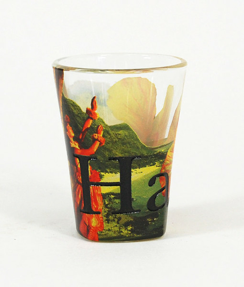 Americaware SGHAW01 Hawaii Full Color  Etched  Shot Glass