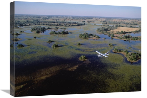 Global Gallery GCS-452368-1824-142 18 x 24 in. Safari Airplane Flying 