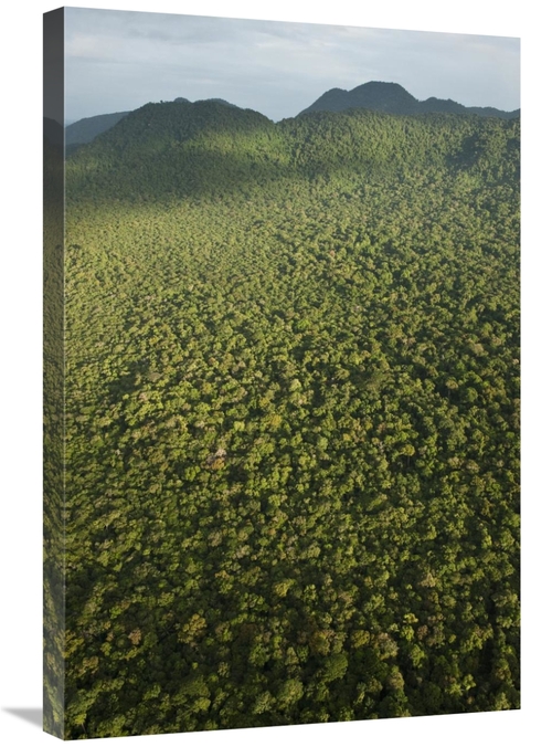 Global Gallery GCS-397904-2030-142 20 x 30 in. Rainforest, Iwokram