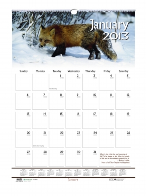 House of Doolittle HOD3732 Wall Calendar-Wildlife