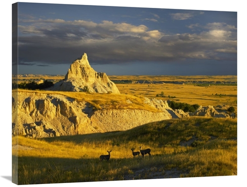 Global Gallery GCS-396850-2835-142 28 x 35 in. Mule Deer Trio in the G