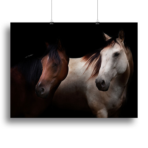Horses In The Dark Canvas Print or Poster