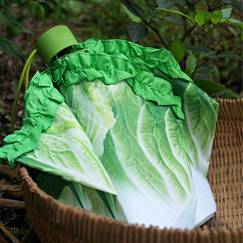 Cabbage Umbrella