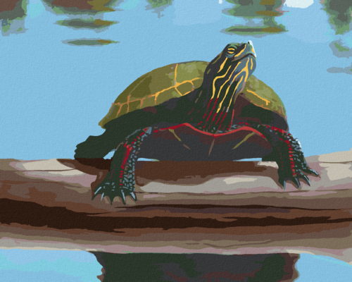 Paint by Numbers - TURTLE BY THE POND (ROBERT JOHNSON)