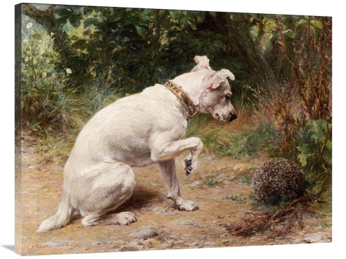 Global Gallery GCS-266574-40-142 40 in. A Prickly Problem Art Print - 