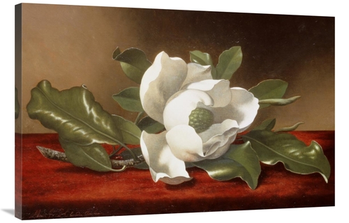 Global Gallery GCS-268075-40-142 40 in. Magnolia Art Print - Martin Jo