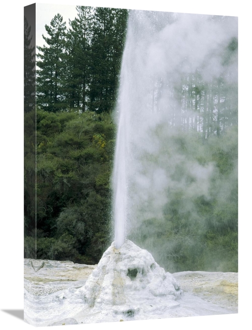 Global Gallery GCS-452462-1624-142 16 x 24 in. Lady Knox Geyser Erupti