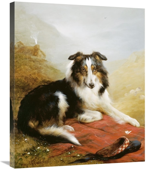 Global Gallery GCS-266236-30-142 30 in. A Collie, the Guardian of 