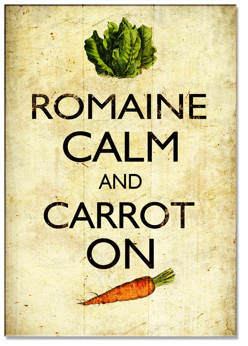 Past Time Signs PTSW139 14 x 20 in. Romaine Calm Carrot On Wood Print